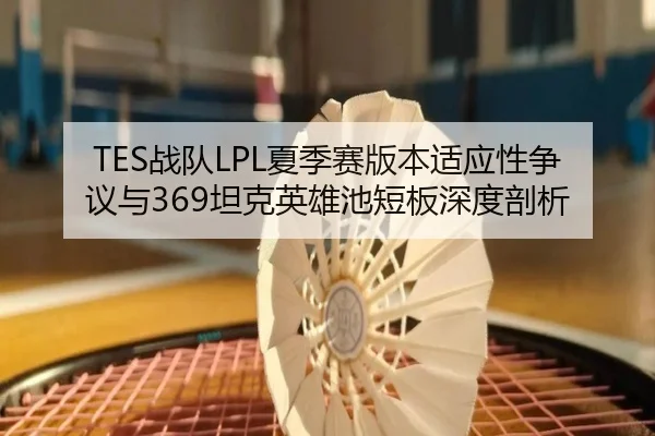 TES战队LPL夏季赛版本适应性争议与369坦克英雄池短板深度剖析