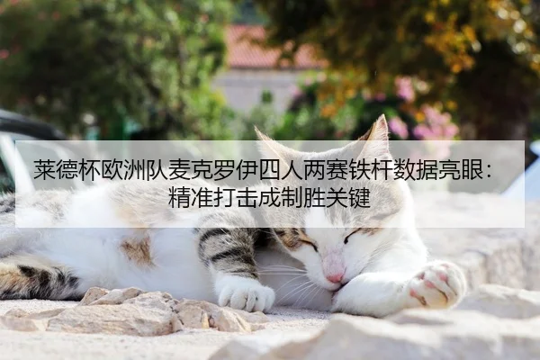 莱德杯欧洲队麦克罗伊四人两赛铁杆数据亮眼：精准打击成制胜关键