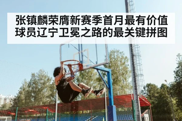 张镇麟荣膺新赛季首月最有价值球员辽宁卫冕之路的最关键拼图